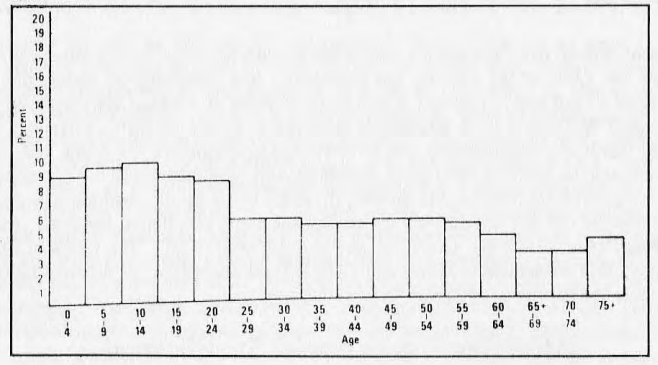 Histogram Showing Age by Population Percent