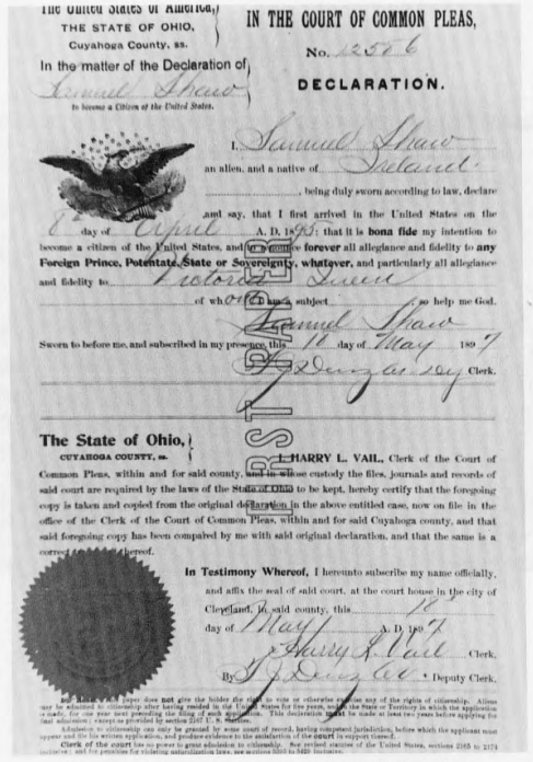 Signed Citizenship Declaration Document