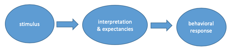 Stimulus leads to interpretation & expectancies, which leads to a behavioral response
