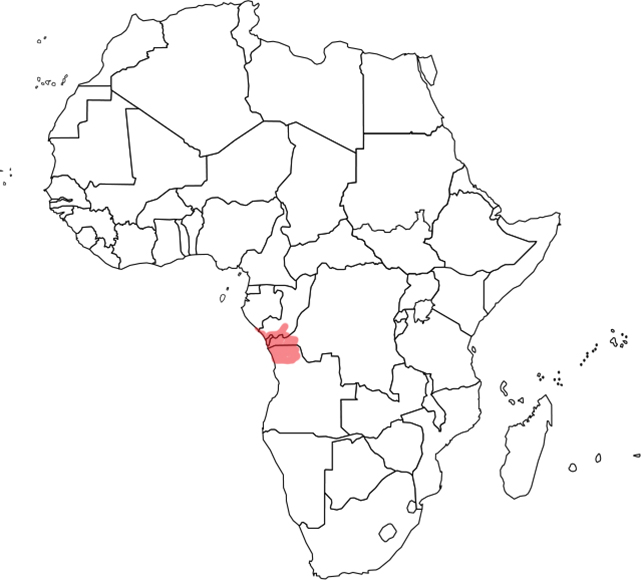 Αποτέλεσμα εικόνας για KONGO MAP