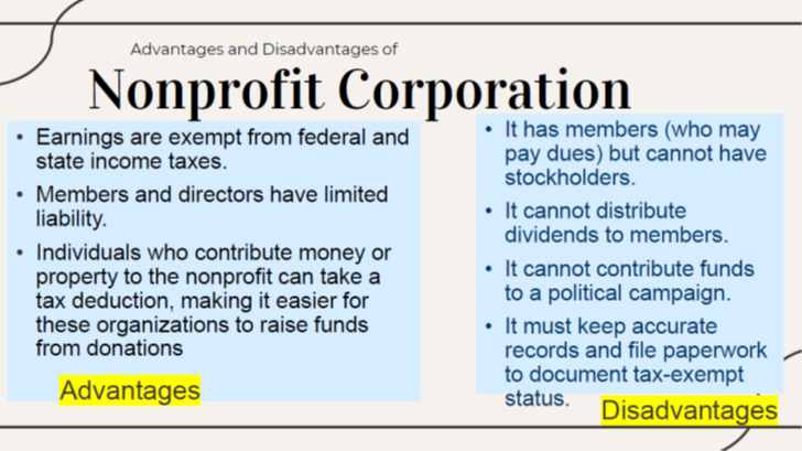 nonprofit Corp PROS & CONS
