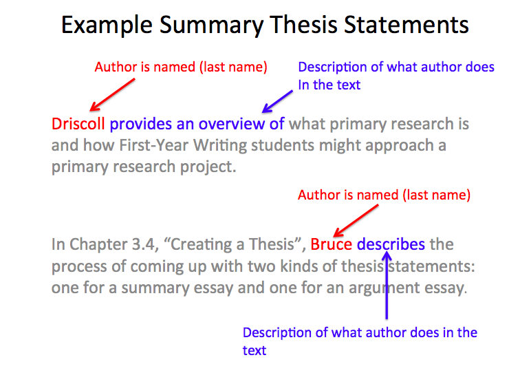 What is a thesis statement a summary of?