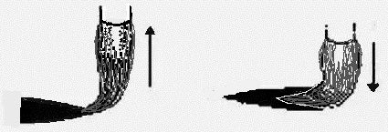 The Stelae Calligraphy Style in the Northern and Southern Dynasties ...