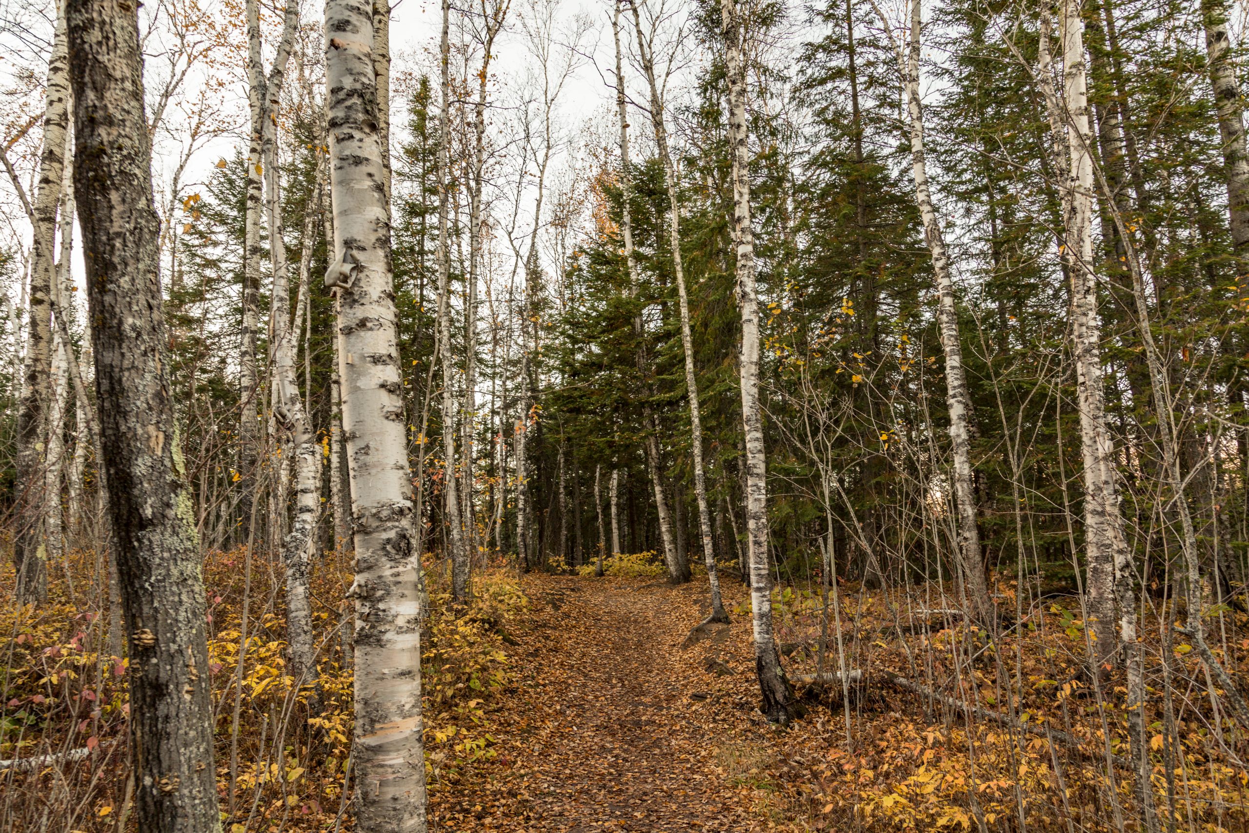 Lake Superior Hiking Trail