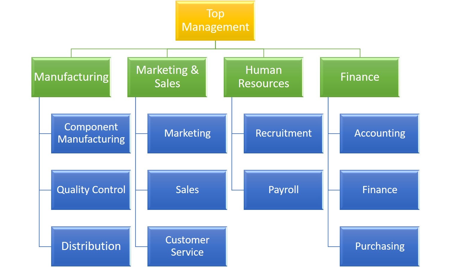 Figure 3.6: Functional Organization Type