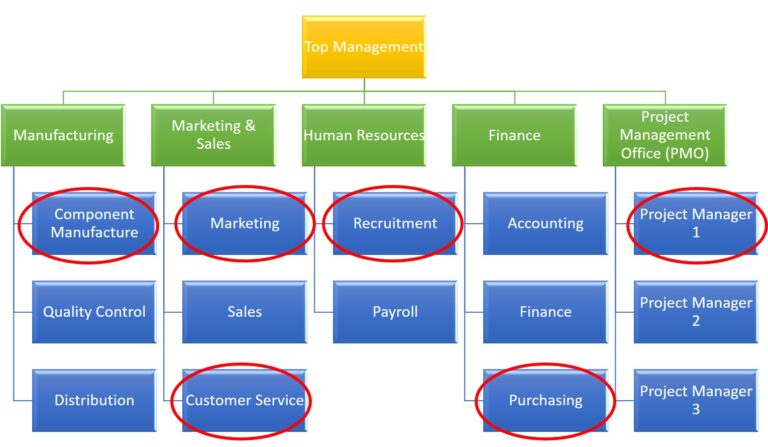 3.3 Organizational Dimensions and the Structure – Project Management