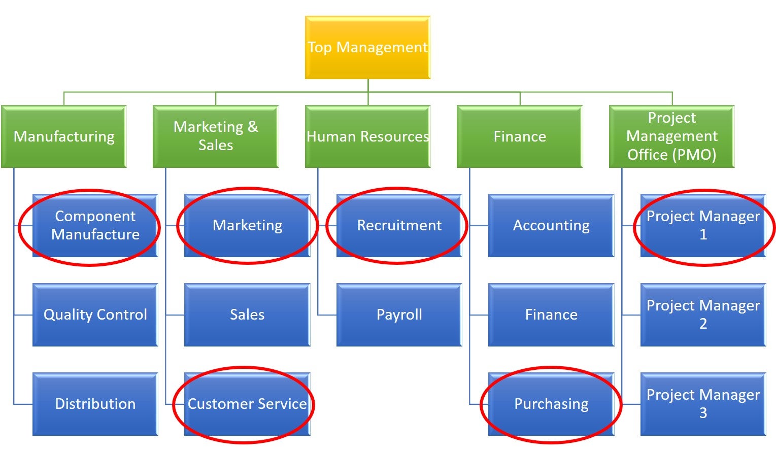 Organizational Structure