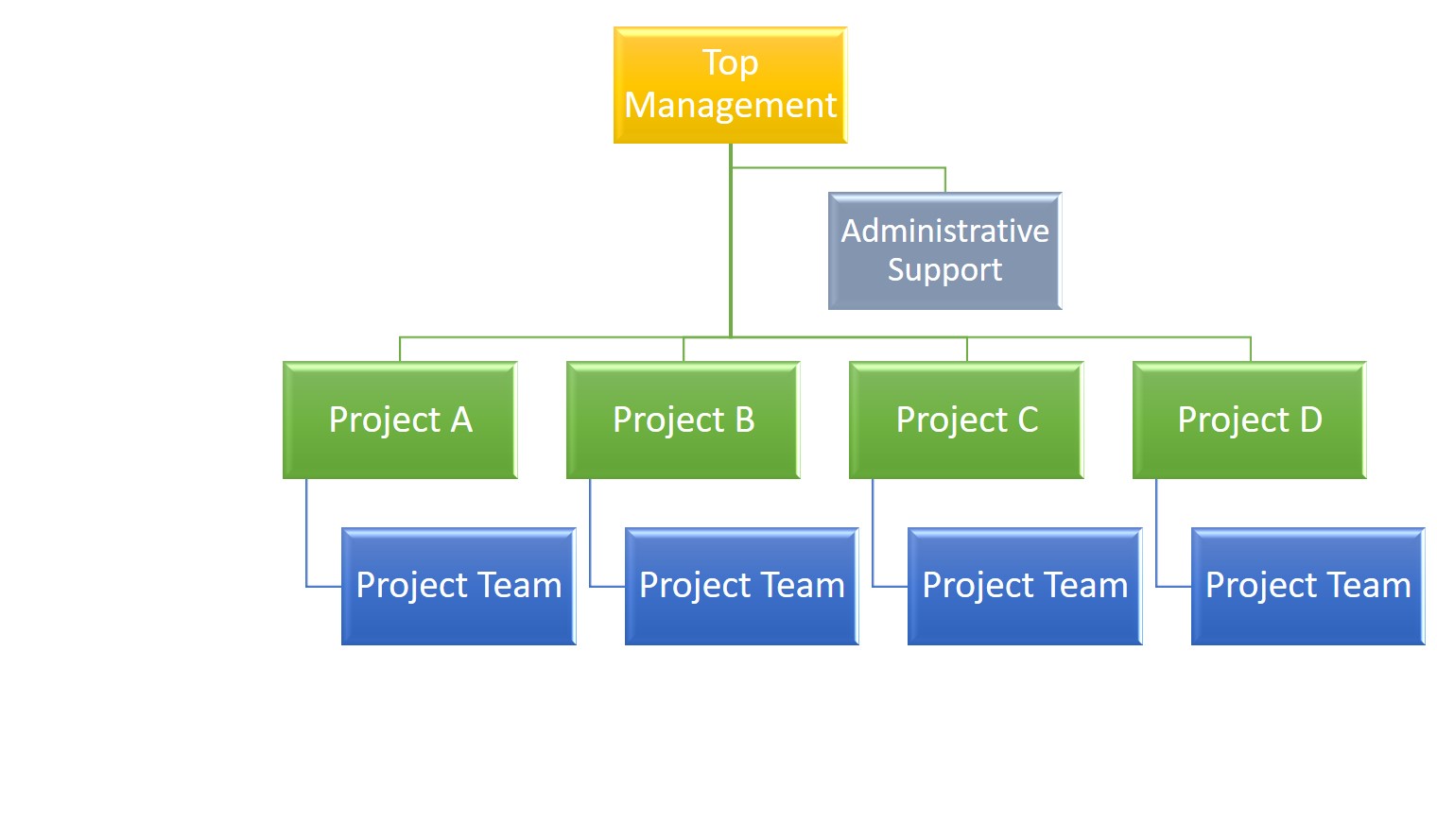 Figure 3.9: Project-Oriented Organization Type