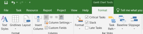 Critical tasks and slack options are checked on Microsoft Project