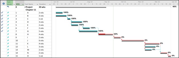 Microsoft Project screenshot showing the completion percentages on the Gantt Chart next to each bar representing activities