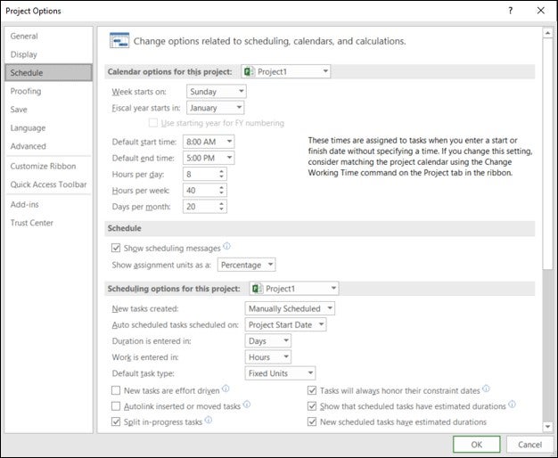 Figure 4.6: Project Options – Schedule tab