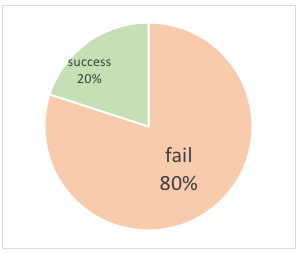 Pie chart representing 20 percent success and 80 percent failure