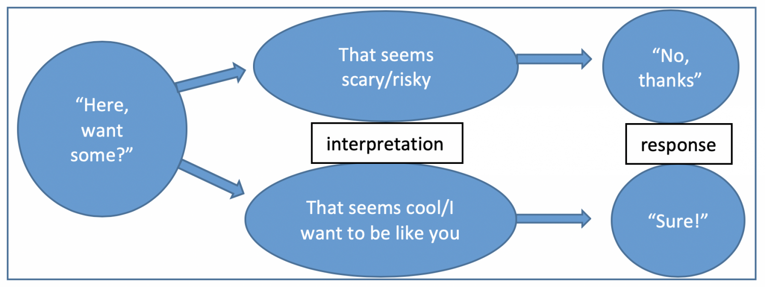 Ch. 4.1: Cognitive and Learning Theories – Introduction to Substance ...