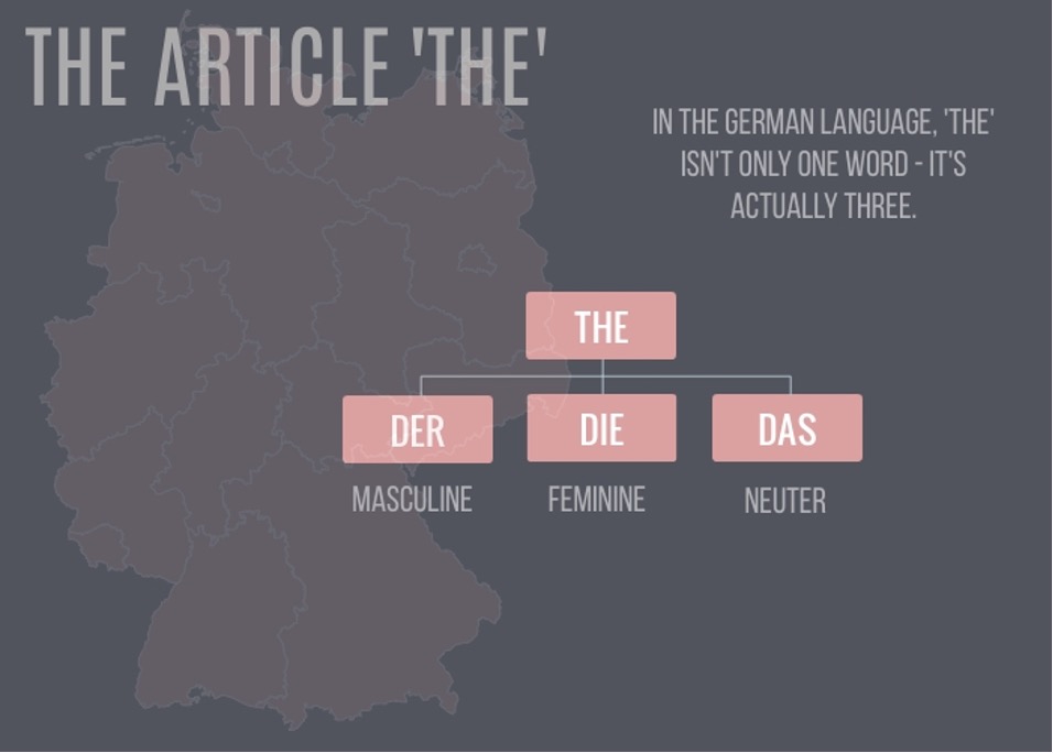 The article "the". In the German language, "the isn't the only word-it's actually three. The, Der (masculine), die (feminine), das (neuter)